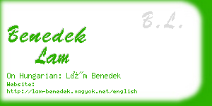 benedek lam business card